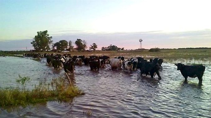 Lechería inundaciones
