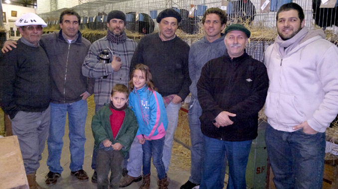 avicultores