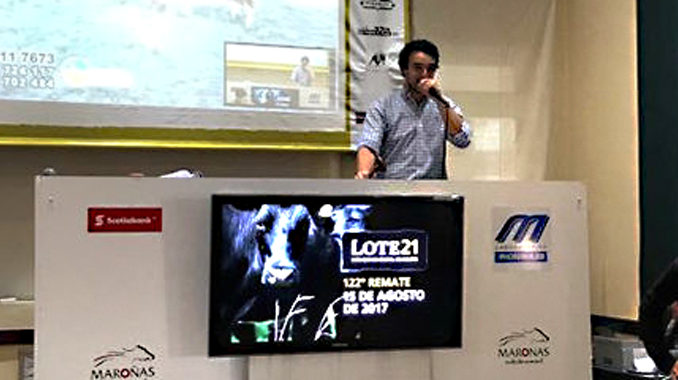 Lote 21 foto remate