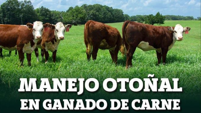 Jornada UPIC