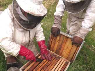 Grupo de apicultores sanduceros podrá comercializar miel 100% certificada PEFC