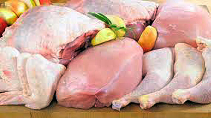 Carne de pollo