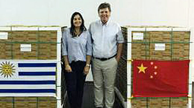 arándanos