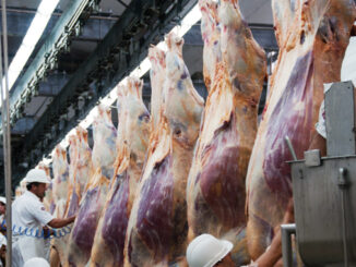 Exportaciones de carnes caen en primeros días del año
