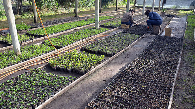 Productores chicos