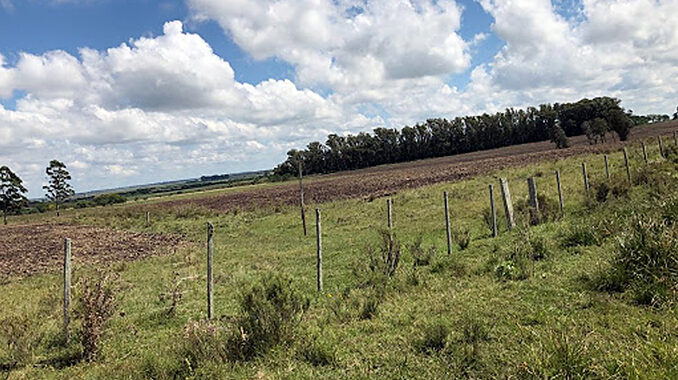 Campos Paysandú