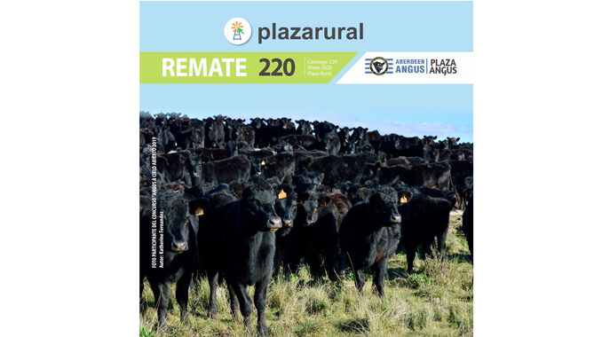 Plaza 220