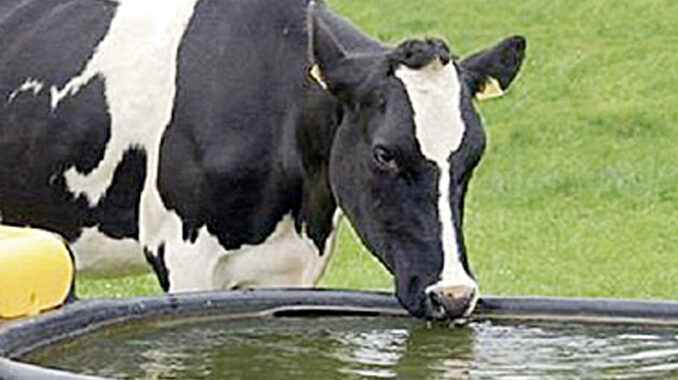 Tomando agua