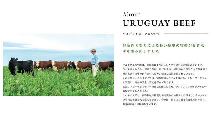 Uruguay-beef