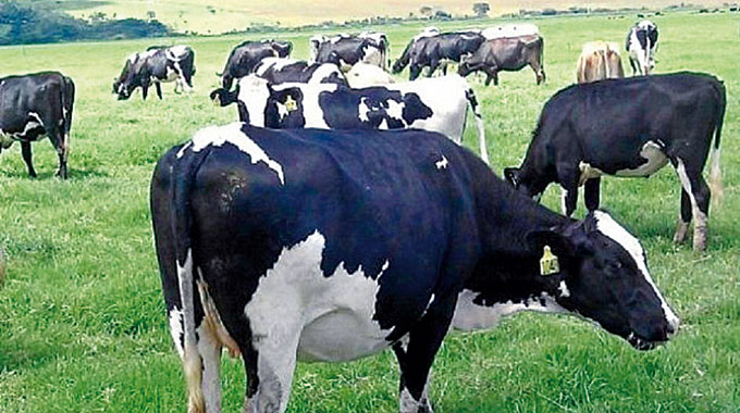 Los productores reciben la devolución de fondo lechero – Diario El