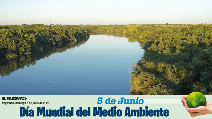 aguas