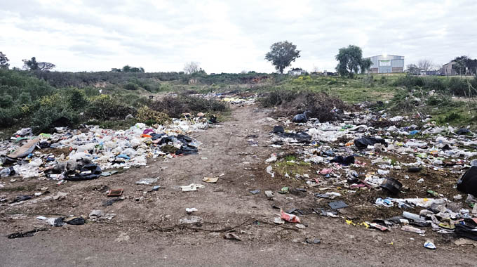 Planteo por basural a cielo abierto y falta de volquetas – Diario El ...