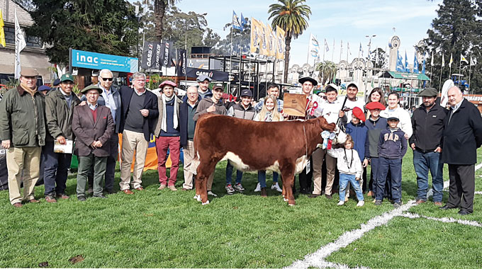 La Escuela Agraria de Lorenzo Geyres ganó el concurso de novillos ...