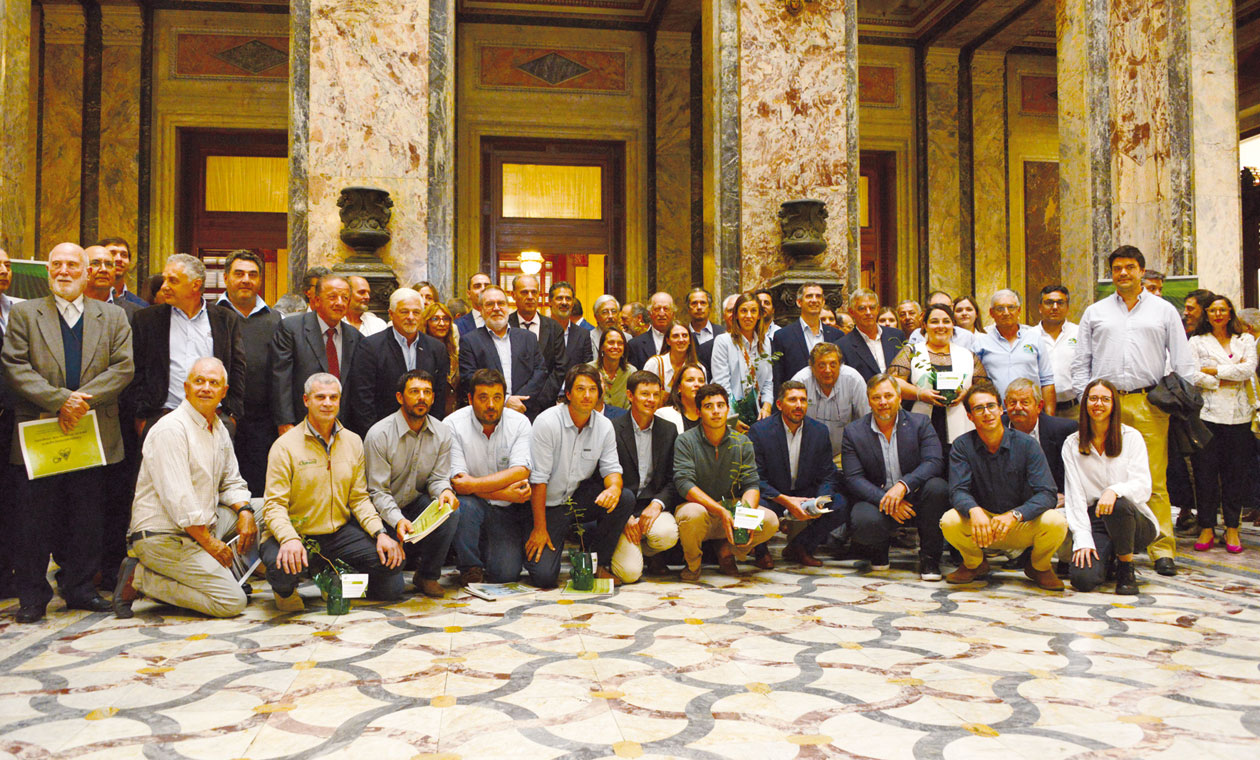 CAF DE PALACIO visual data 7