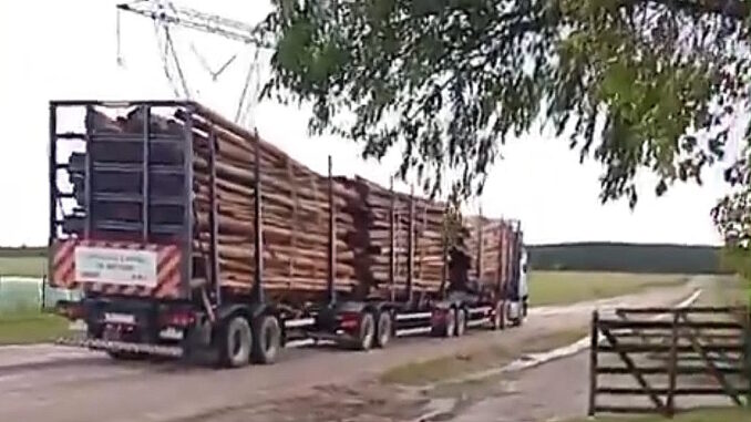 Camión tritren con rolos de madera para UPM circulando por camino rural tras las lluvias.
