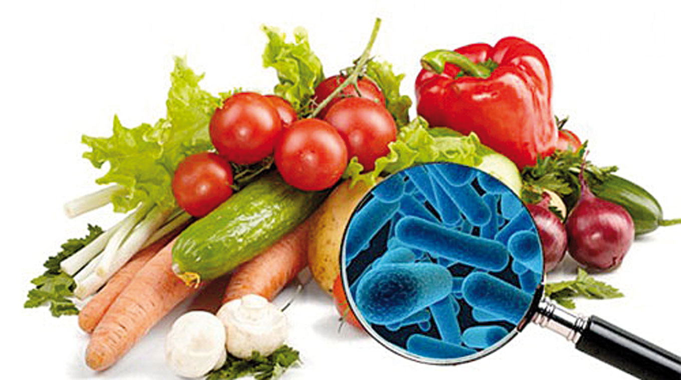 Día Mundial de la Inocuidad de los Alimentos – Diario El Telégrafo