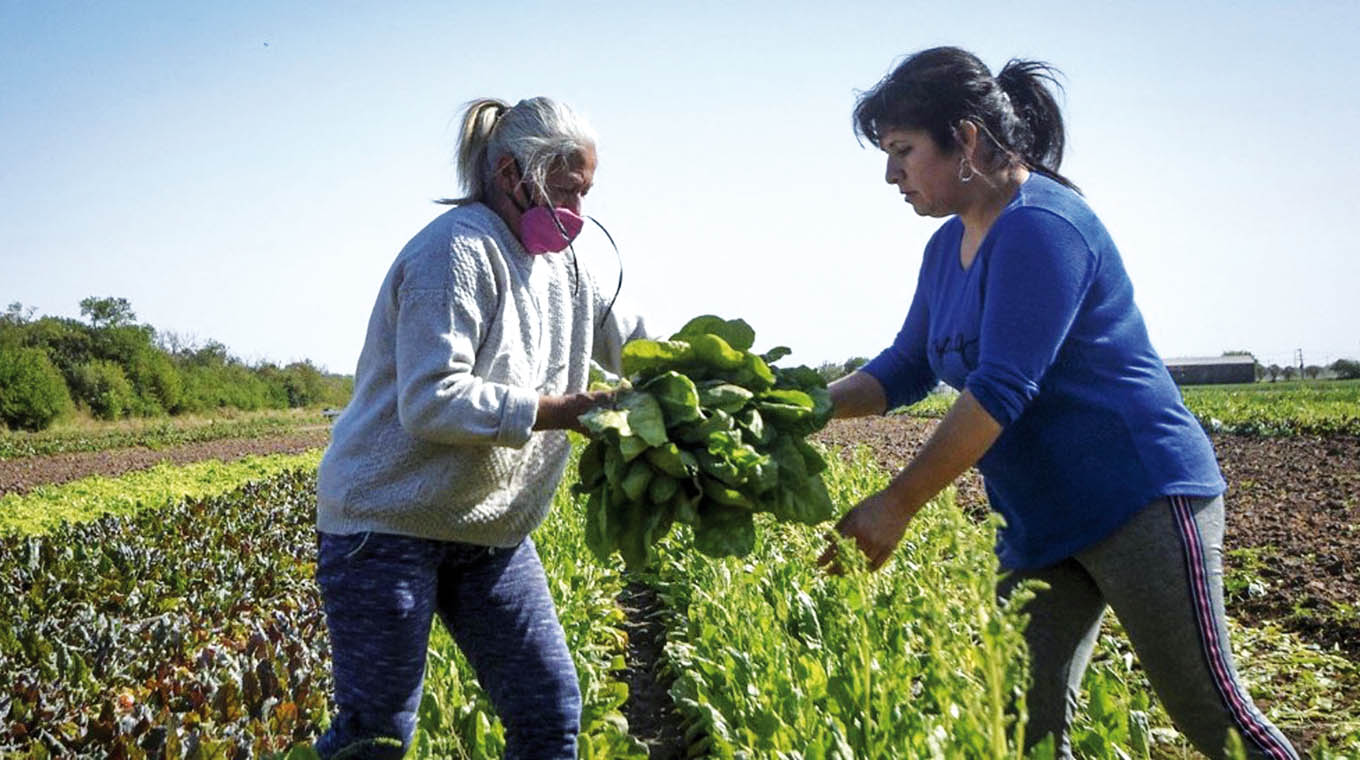 convocatoria-mujeres-de-la-granja-diario-el-tel-grafo