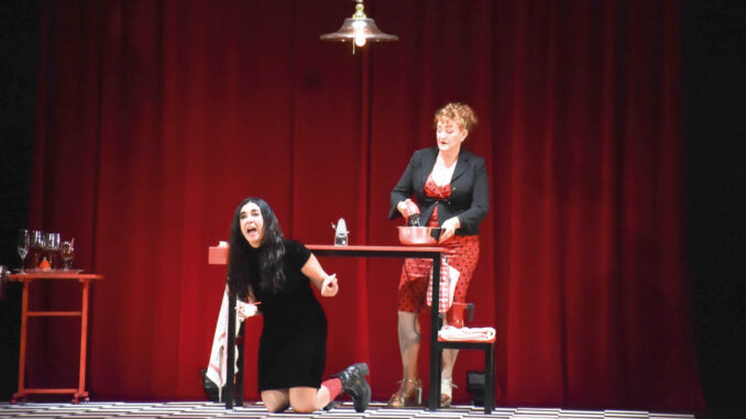 Lucía Trentini y Gloria Albalate protagonizaron “Elektra. Bizarra y doméstica opereta para cocina”, que en el marco del Fidae se presentó en el Florencio Sánchez.