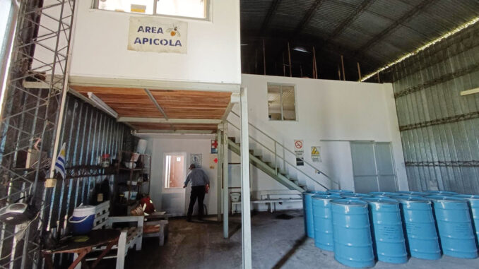 Area-apícola
