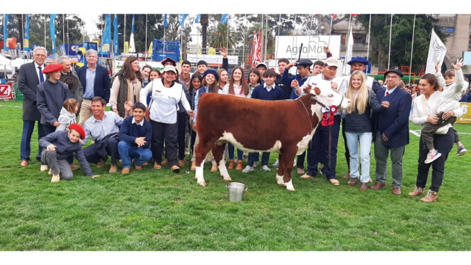 Bicampeonato para escuela de Lorenzo Geyres en concurso de novillos ...