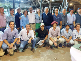 El remate se realizó en las instalaciones de la Agropecuaria de Salto.