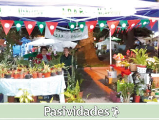 ADAP en otras ferias de “Paysandú Flor de Ciudad”.