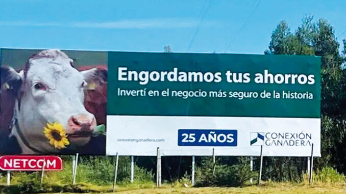 conexionganadera