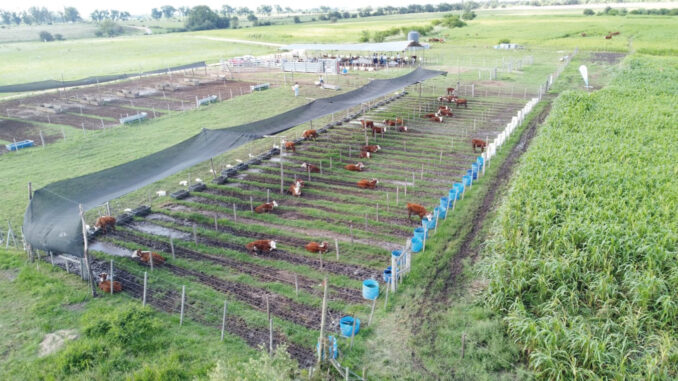 UPIC-foto-aérea