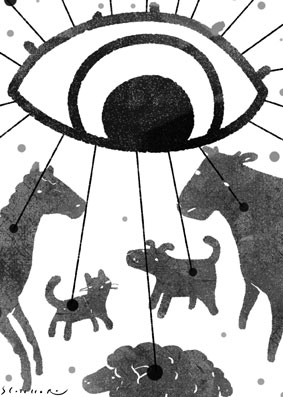 Nuevos proyectos de ley, viejas discusiones – Diario El Telégrafo