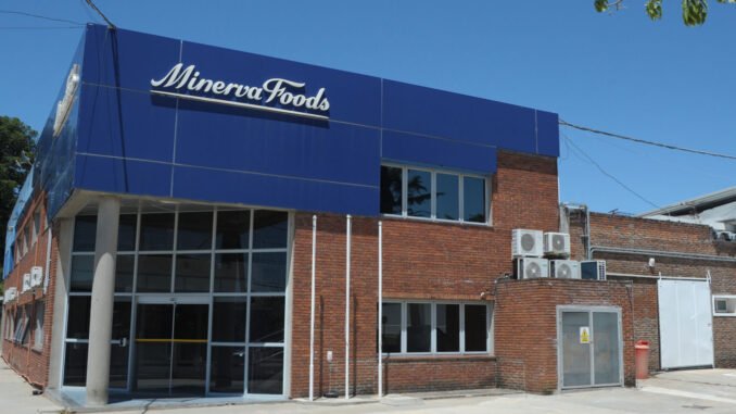 Minerva