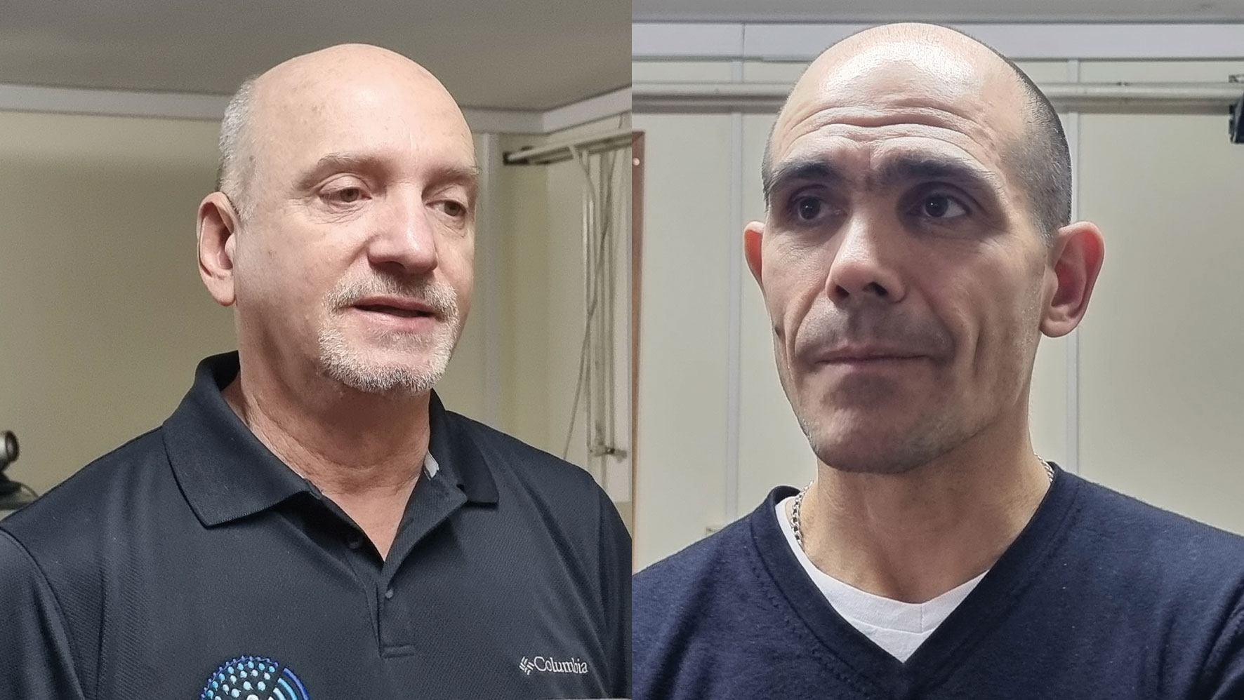 Cetaceass enticing displays will leave you beg for more