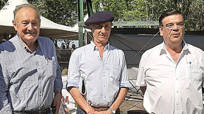 Bertsch-Correa-y-San-Román