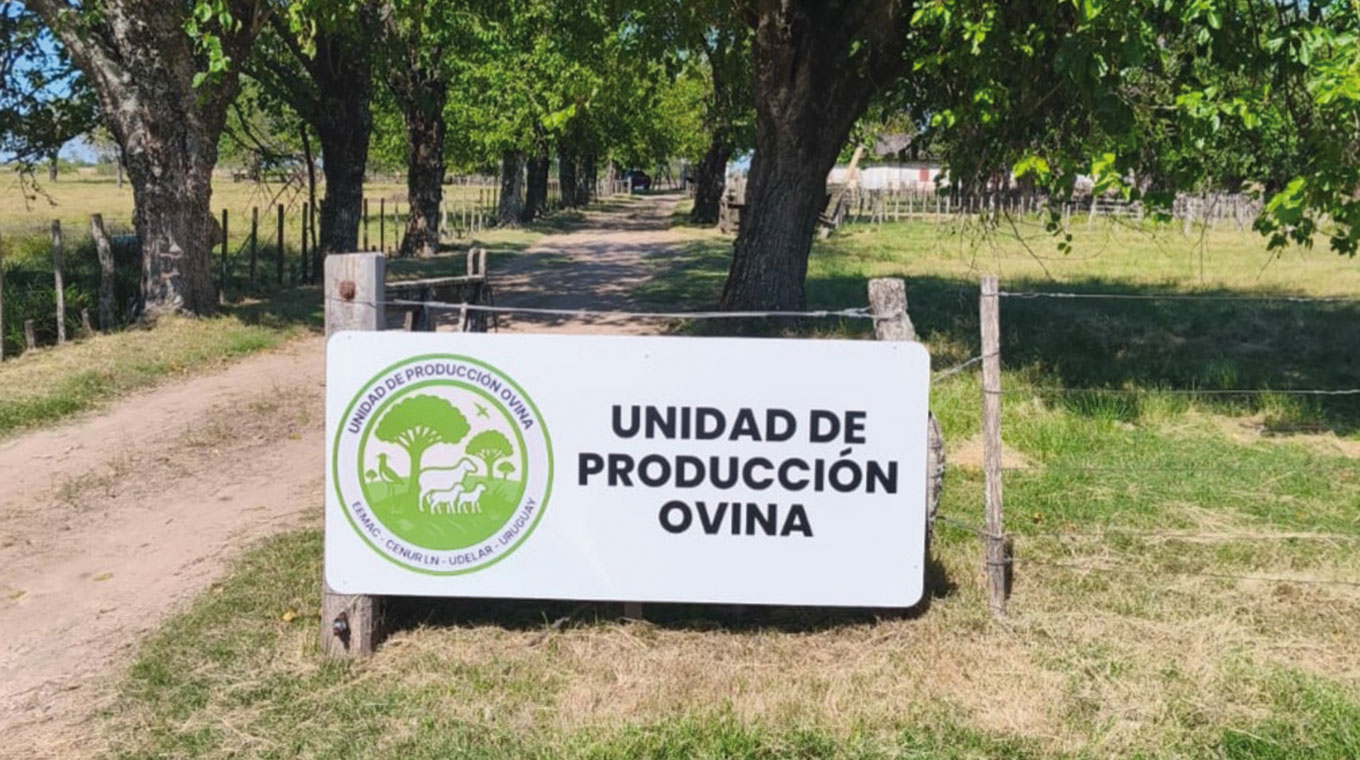 Eemac Jornada de Unidad de Producción Ovina es el jueves 11 en la Eemac ...