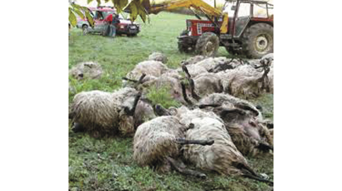 Federación Rural emitió comunicado ante el fallecimiento de un productor de Flores