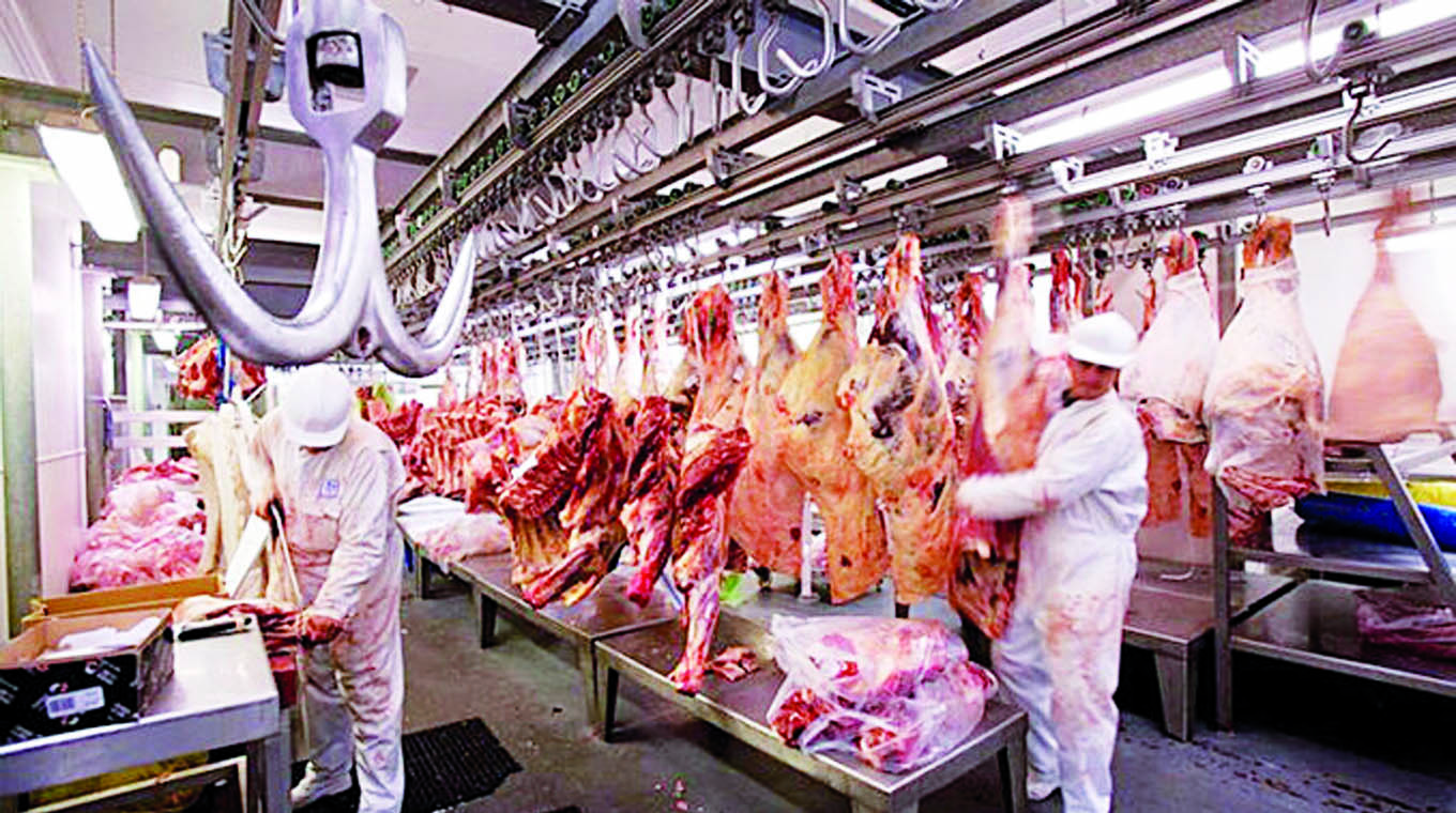 La Unión Europea decide prohibir el ingreso de carnes provenientes de Brasil y enciende alertas en la región
