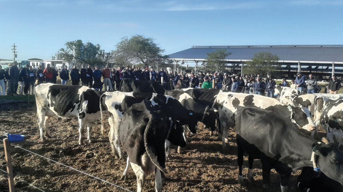 Grupo de Lechería de la Eemac presentó en la jornada anual avances de la investigación y proyecto FPTA 421