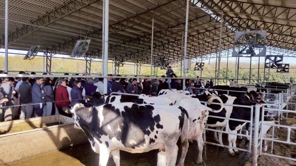 Mañana se realiza la jornada anual de lechería en la Eemac