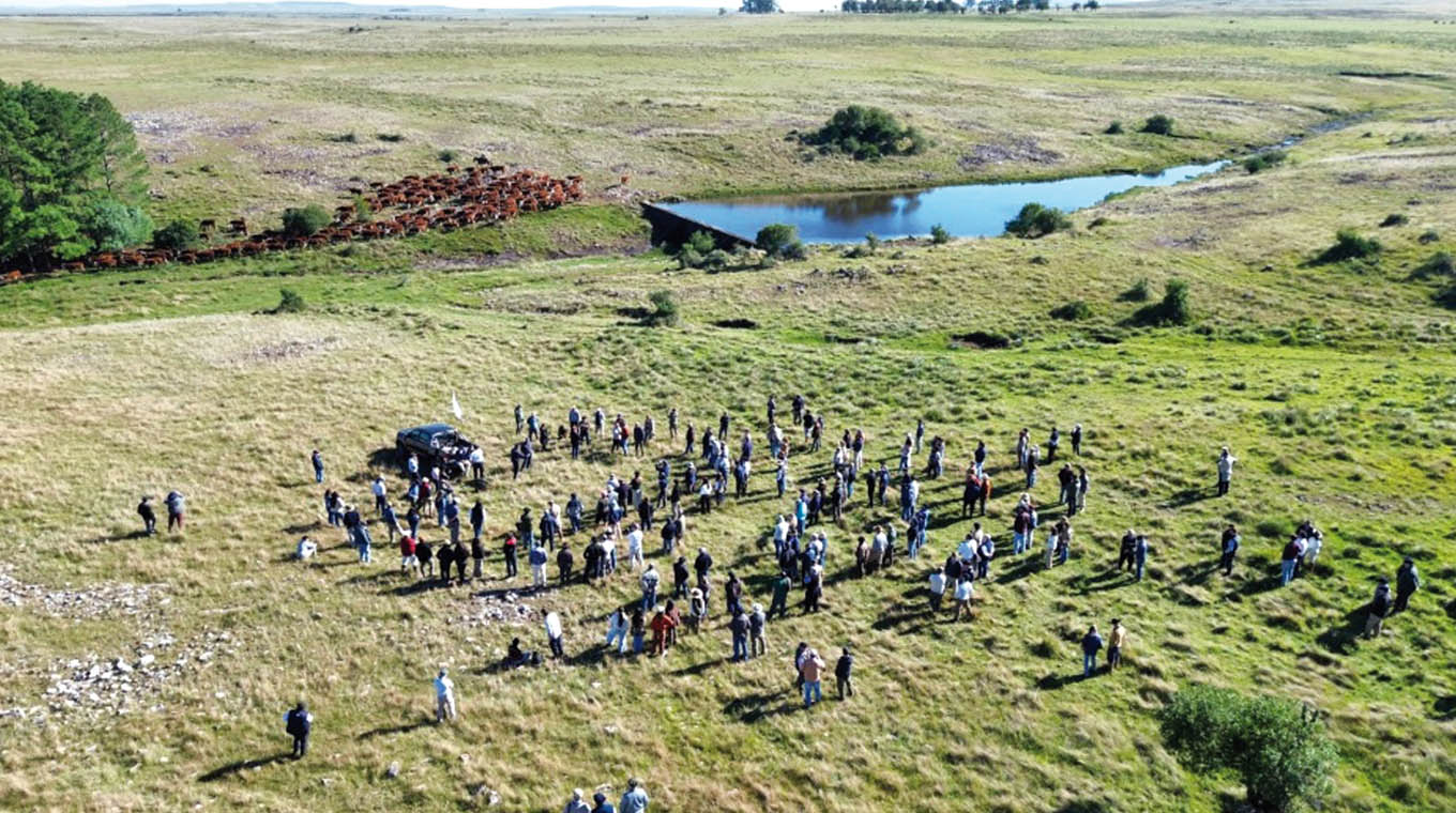 Jornada en Salto permitió conocer y promoverlas buenas prácticas sobre el campo natural