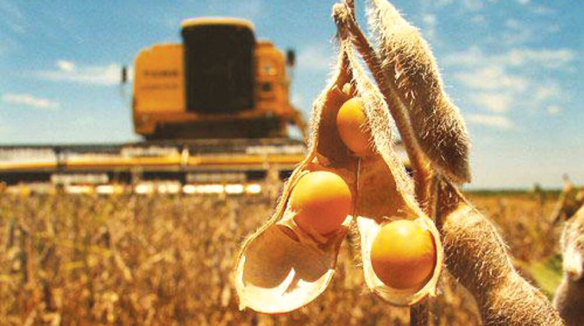Las exportaciones de bienes en el primer cuatrimestre crecen 4% respecto a 2025