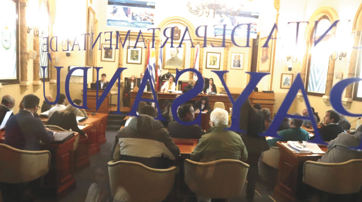 El mapa del presupuesto observado: qué aceptó y qué rechazó la Junta