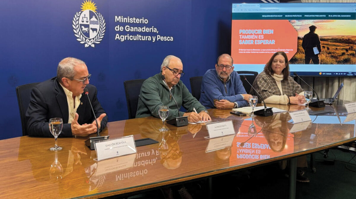 Presentaron nueva campaña de vacunación contra fiebre aftosa