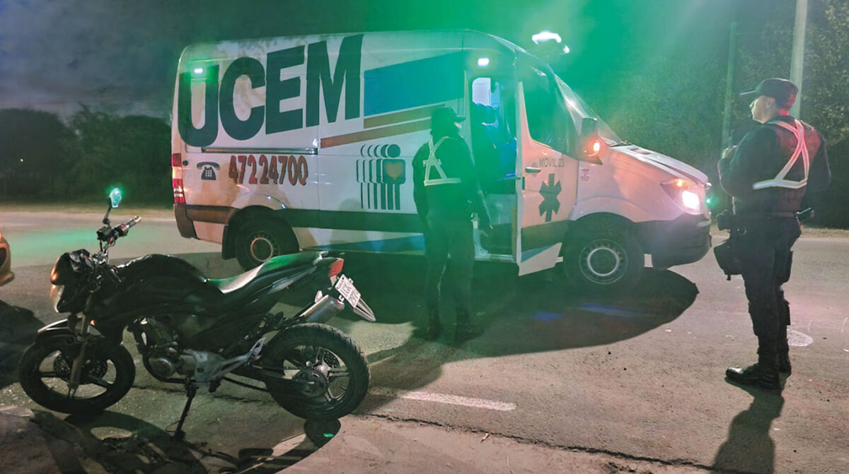 Caballos sueltos siguen provocando siniestros durante el Mayo Amarillo
