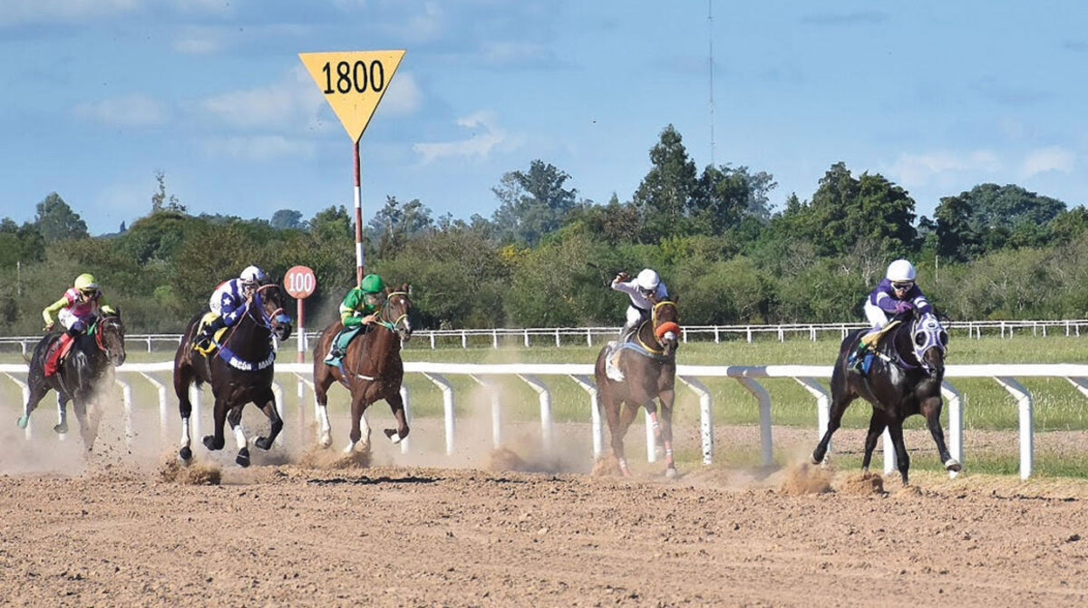 Siete carreras en el Hipódromo de San Félix