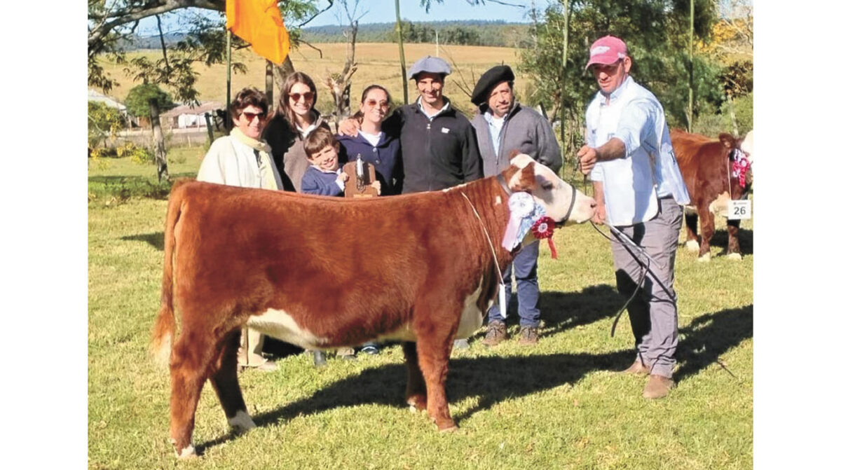 La Hereford exhibió lo mejor de su genética en Nacional de Curticeiras