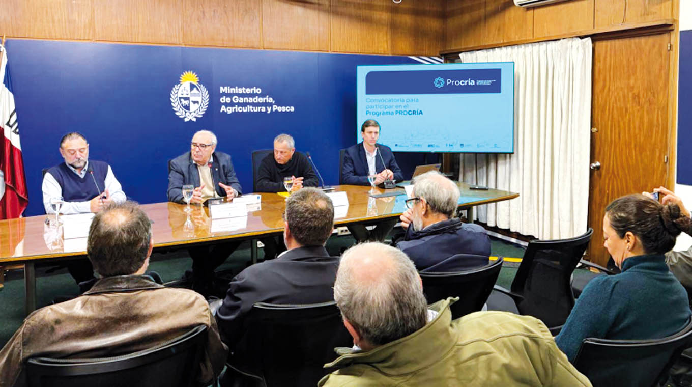Nueva convocatoria para el programa Procría