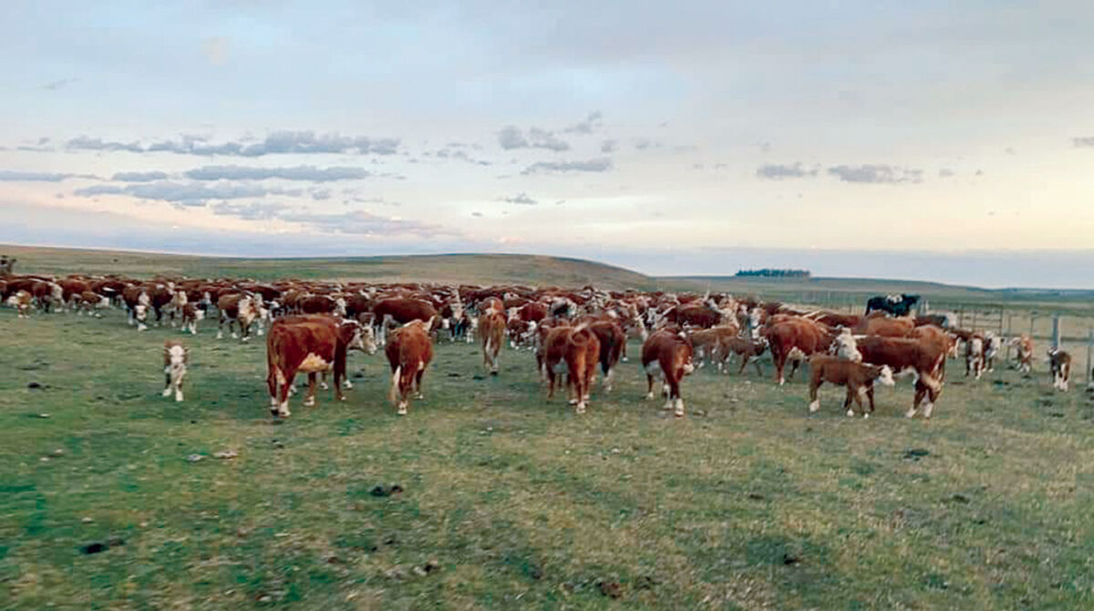 Federación Rural volvió a plantear preocupación por aumento de los costos