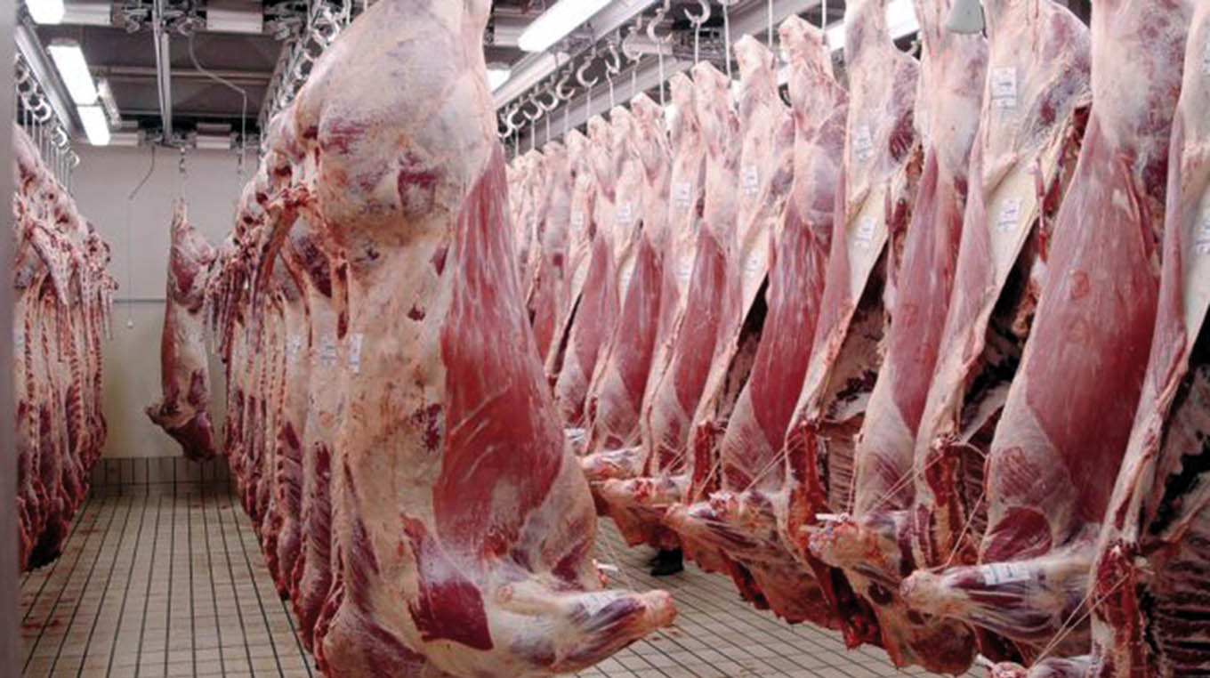 Se debilita el valor medio de exportación de Novillo Mercosur
