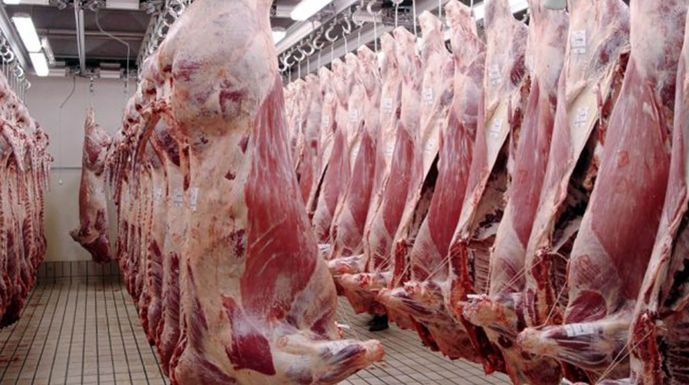 Cae la faena de vacunos y precios se estabilizan