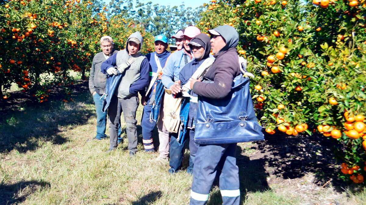 Citricultores plantearon a Orsi los desafíos por delante