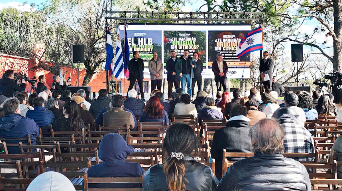 Realizaron lanzamiento de la campaña“Uruguay protege sus cítricos de HLB”